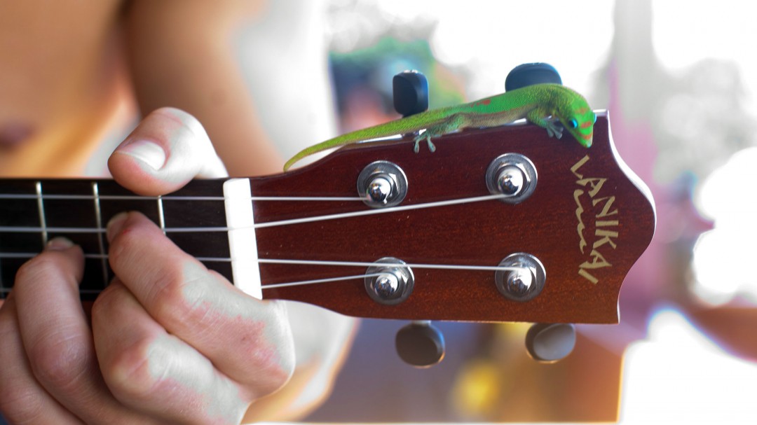 sliderhawaii006 Lanikai Ukuleles