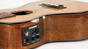 LKS Fishman Kula Preamp