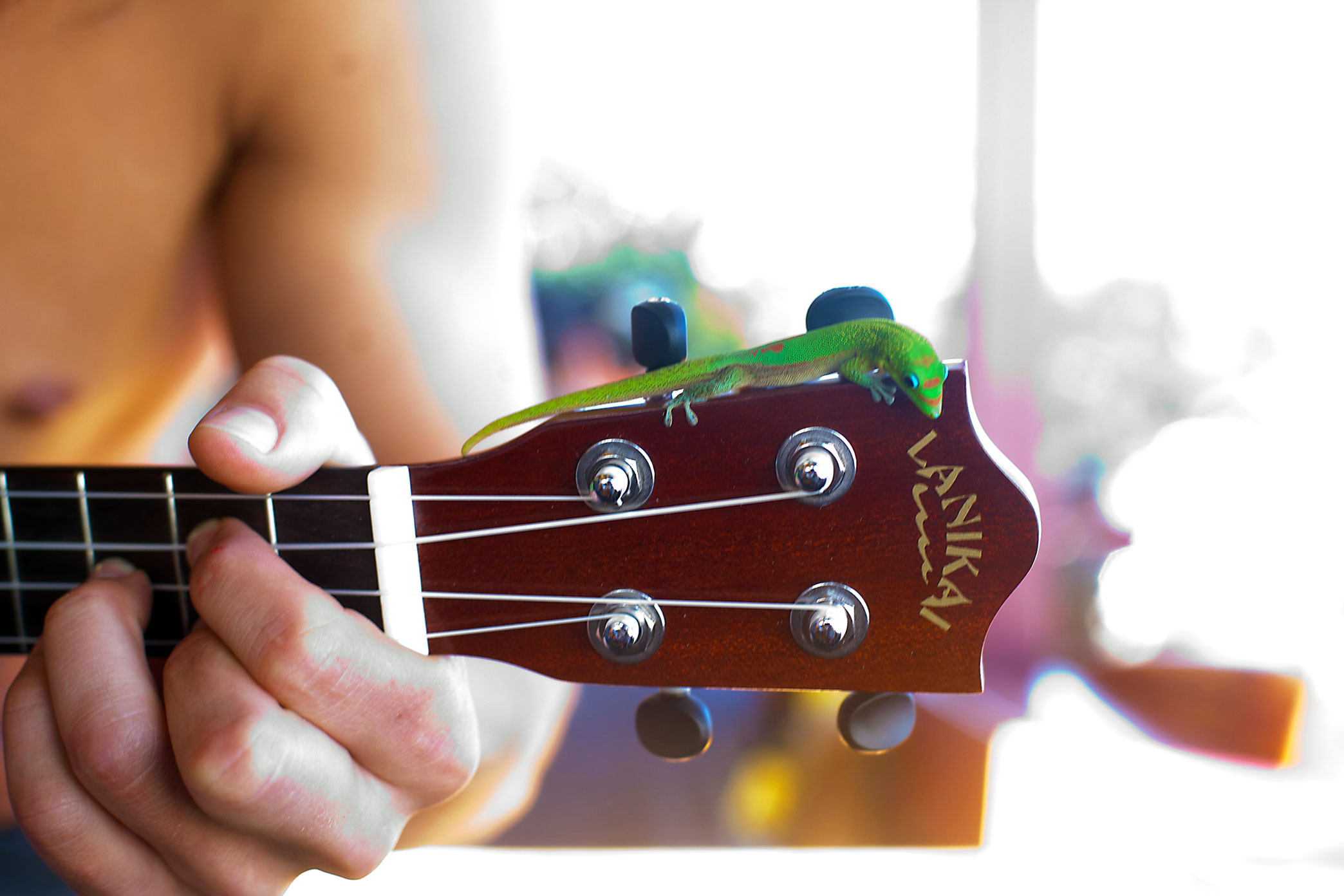 IMG_0216 Lanikai Ukuleles