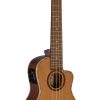 Cedar Solid Top Concert A/E Ukulele