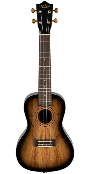 Spalted Maple Top Concert Ukulele - Image 3