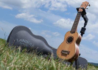 Humidity & Ukulele Health